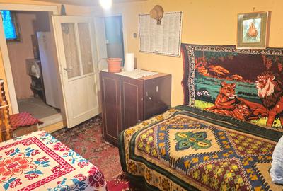 Vand casa in Deva, zona Viile Noi, suprafata  de teren de 766 mp, - 9