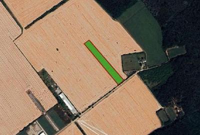 Teren agricol intravilan de 14000 mp, în Nord
