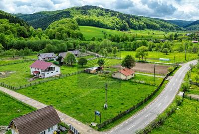 Teren de 2.300 mp în satul Buzăiel, Vama Buzăului - 7