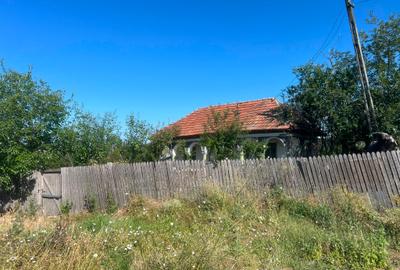Teren intravilan Valea Mare | 1486 mp | Utilități | 13,5 €/mp - 9