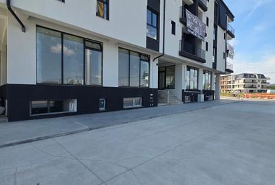 Spatiu comerical stradal 23 August magazin LIDL | Suprafata vitrata generoasa | - 5