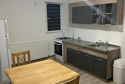 Apartament 2 camere, 50 mp, Romanești - 4