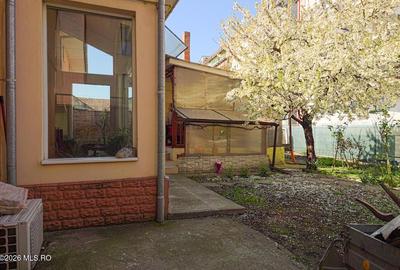 Lunei - Ion Neculce, 2 Apartamente. Mansarda 157 mp. Anexe, Lot 475 mp - 39