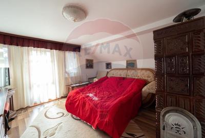 Casă / Vilă deosebită în SUCEVIȚA - 8