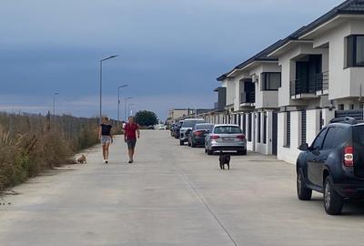 Oportunitate Investitie! De vanzare teren intravilan, 1200 mp, Tunari, Ilfov - 6