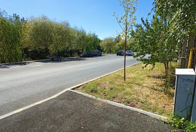 Teren 1.019 mp în Tunari – Centru cu vedere către promenada râului Pasărea - 6