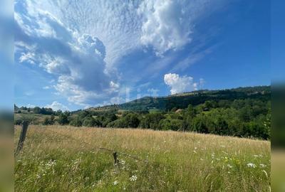 Teren cu potențial turistic, cadru natural rar, 20.000 mp  Sacuieu - 5