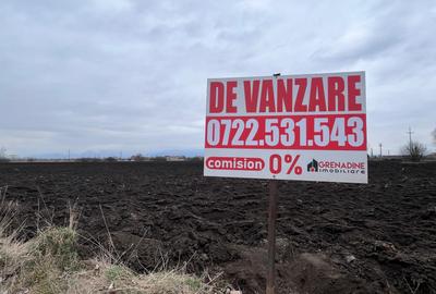 Teren agricol extravilan de 50000 mp, în Hălchiu