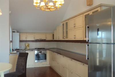 Penthouse LUX, vila, Terasa, Calea Dumbravii - 11