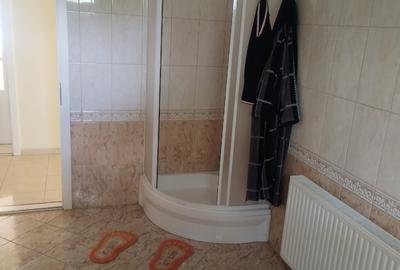 Casa 3 camere la Elek, langa Gyula, Ungaria - 15
