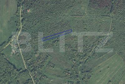 Teren agricol intravilan de 2697 mp, în Ardud