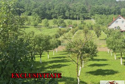 Teren intravilan (2292mp) de vanzare in Vintu de Jos - 1