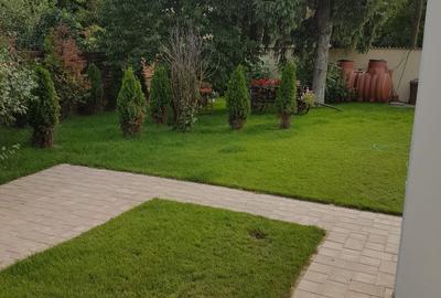 CASA OTOPENI FERME (SCOALA,AFTERSCHOOL,CLINICA) - 6