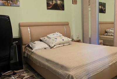 450euro/luna, Valea Lupului Antibiotice, corp casa cu 3 camere - 6
