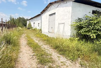 Hală industrială + teren 2.716 mp de vânzare în Baia Mare | Zonă industrială | - 10