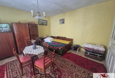 Vanzare casa in Almasu Mare - 7