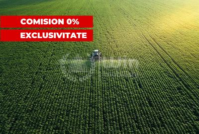 Teren agricol extravilan de 2600 mp, în Iclod