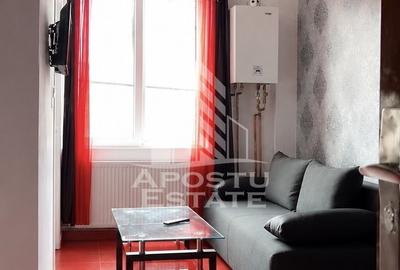 Garsoniera de inchiriat, centrala proprie,zona Brancoveanu Timisoara - 1