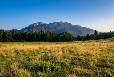 Teren de vânzare – Râșnov, zona Glejerie | 1.300 mp | Vedere spre Munții Bucegi - 2