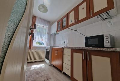 LIBER - Apartament central cu 2 camere - la 3 minute de PALAS CAMPUS - 7