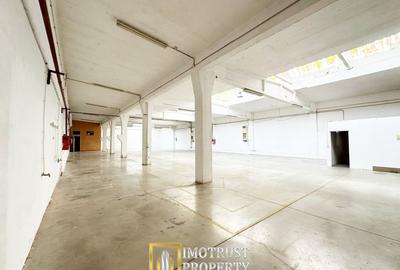 Hala industriala 675 mp, Arad central, acces TIR ideal depozit logitic - 3