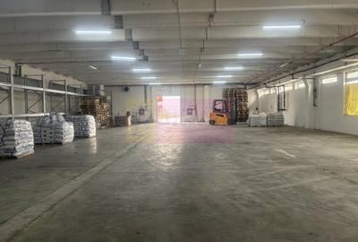 Hale industriale cu parcari multiple Bragadiru Sos Alexandriei stradal - 26