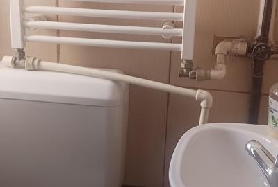 Apartament de 3 camere de inchiriat zona Cismigiu-strada Luterana - 13