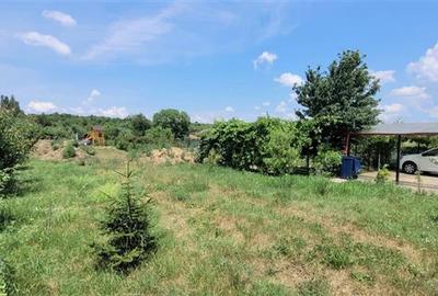Teren 3100 mp cabana potential investitional Sura Mica Sibiu - 5