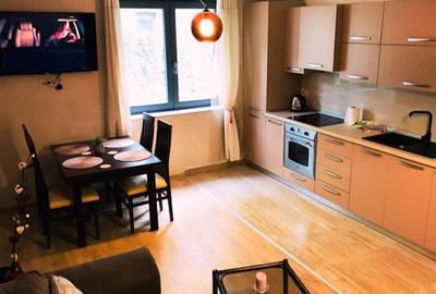 Inchiriem Apartament 2 Camere, Modern, Open Space, Grivitei - 2