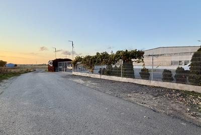Teren industrial in Constanta 5000 mp cu PUD aprobat Hale AUTOSTRADA - 7