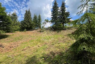 Teren Construcții intravilan de 1074 mp, în Colibița