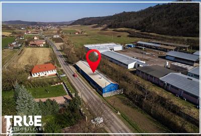 Hală de producție și depozitare - Voiniceni, Mureș - 18