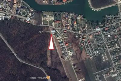Teren Unic în Corbeanca – Laguna Albastră | Deschidere la Pădure - 2