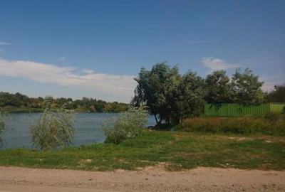 Teren agricol extravilan de 50000 mp, în Ileana