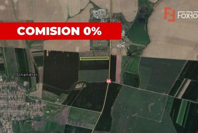 Teren agricol extravilan de 41700 mp, în Sânandrei