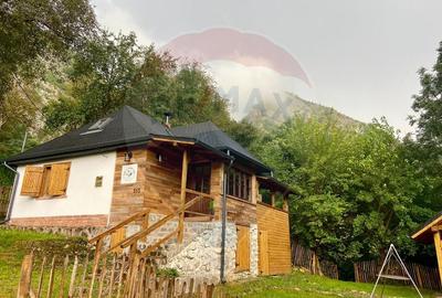 Casă de vacanță deosebită cu ciubăr si saună - natura si relaxare - 1