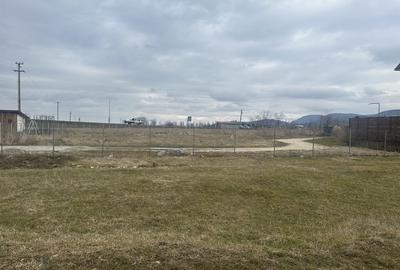 Teren Intravilan 1000 mp Rasnov - 8