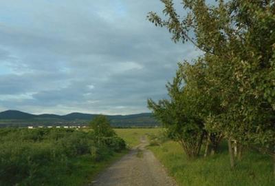 Teren extravilan de 5800 mp, în Central