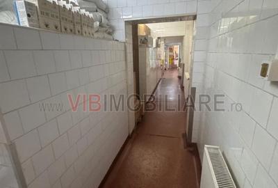 Cladire birouri-hala productie -depozit -Colentina / Lizeanu - 6