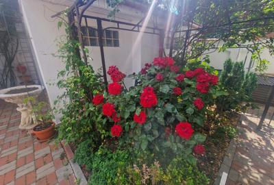Navodari zona Sud- Vila P+1, 4 camere, Garaj, teren 326mp -260.000euro - 27