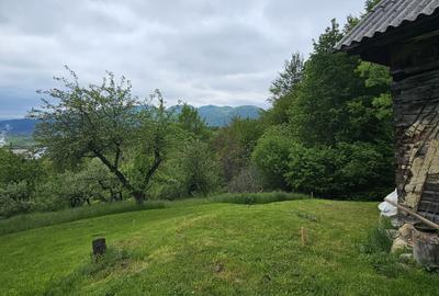 Domeniu Premium 1.7 Ha Intravilan Zărnești | Lizieră Pădure | Ideal Resort - 8