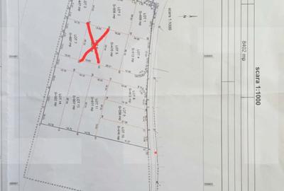 Teren intravilan, 617 mp, zona Evergreen - 1