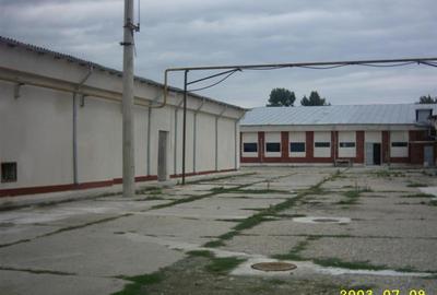 TEREN si constructii industriale-fost abator Mandresti - 15