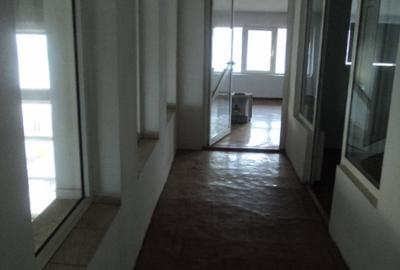 Sere ( Varful cu Dor) , hala 680 mp., platforma betonata 2.000 mp. - 6