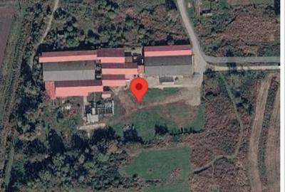 Teren agricol intravilan de 11419 mp, în Agnita