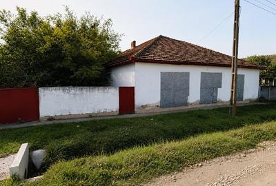Casă individuală cu 10 camere în Jamu Mare