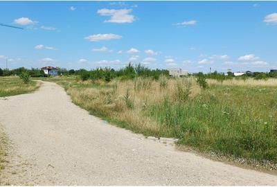 Teren intravilan 500 mp | Noua Brasov - 5