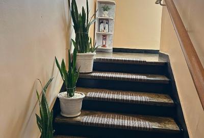 Garsoniera de vanzare complet renovata / Stefan Cel Mare / Direct propietar - 9