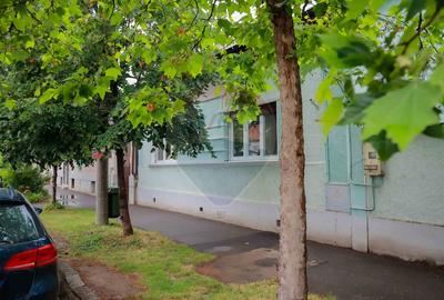 Casă cu mansardă, Ultracentral, N. Jiga, singur în curte, intrare auto - 13