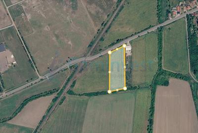 Teren Construcții intravilan de 9800 mp, în Salonta
